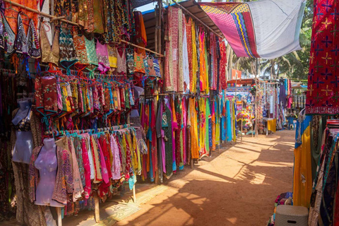 Privé stadstour van een hele dag door de roze stad Jaipur