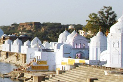 Viaje único y de aventura al Triángulo de Oro con Safari Chambal