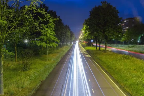 Eindhoven: Excursão a pé particular e personalizada com um guia local