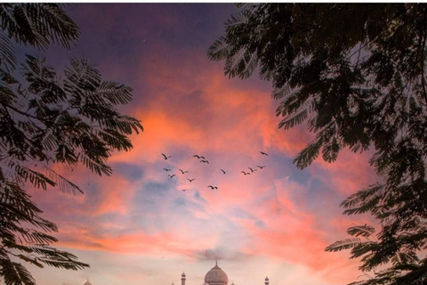 Visite privée du Taj Mahal au lever du soleil : Journée au Fort d'Agra Baby TajGuide et voiture - sans petit déjeuner ni billets d'entrée