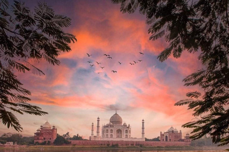 Private Taj Mahal Sonnenaufgangstour: Agra Fort Baby Taj TagesausflugReiseleiter & Auto - ohne Frühstück und Eintrittskarten