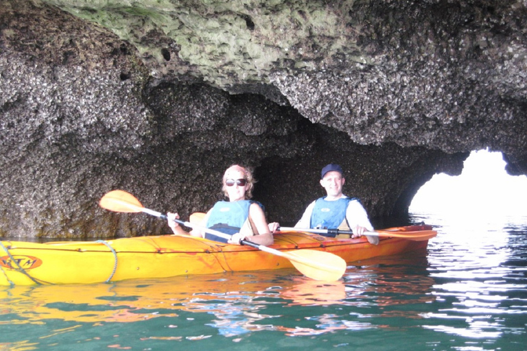 3-daagse Bai Tu Long Bay-cruise, grot, kajakken, zwemmen