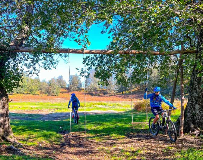 Sorrento Ebike Oil & Lemon Tour with tasting GetYourGuide