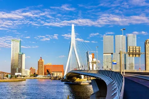 Rotterdam: Prywatna wycieczka piesza z lokalnym przewodnikiem