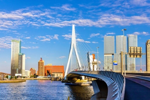 Rotterdam: Private custom tour with a local guide 8 Hours Walking Tours