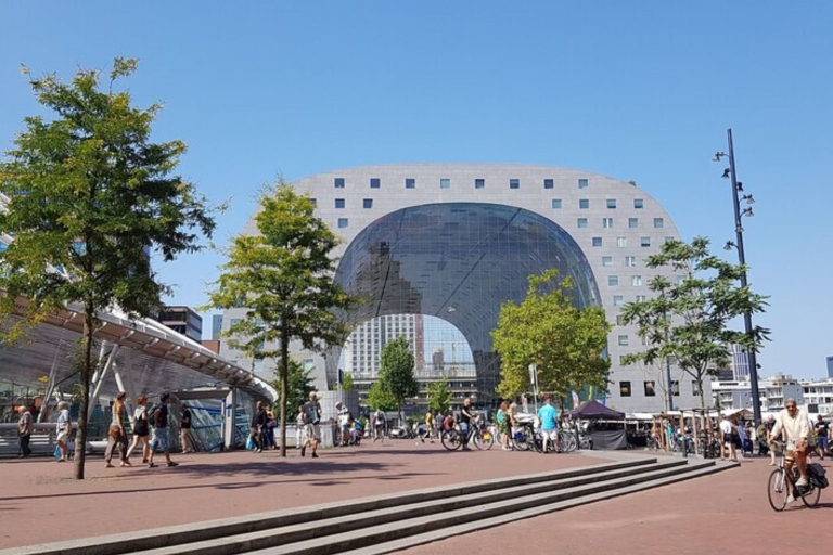 Rotterdam: Private custom tour with a local guide 8 Hours Walking Tours