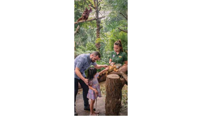 Singapore: Breakfast with Animals at Singapore Zoo