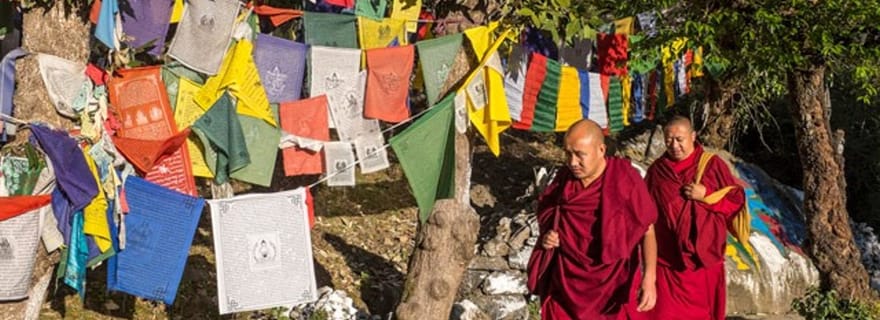 Marche guidée, le mini Tibet de l'Inde à Mcleodganj