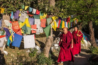 Geführter Spaziergang, Indiens eigenes Mini Tibet in Mcleodganj - Hizvo