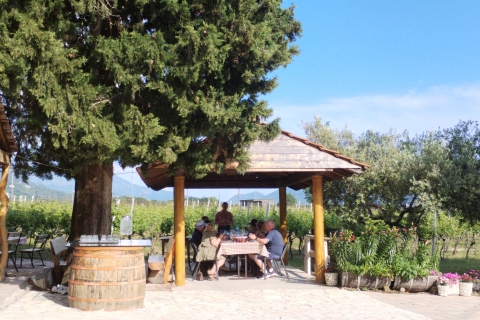 Ab Dubrovnik: Halbtägige Weinverkostung und Cavtat Stadtrundfahrt