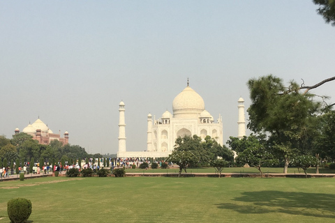 Depuis Jaipur : Visite privée du Taj Mahal au lever du soleil et du fort d'Agra