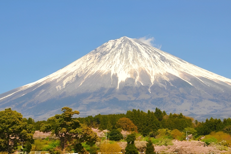 Excursión Privada de un Día desde Tokio al Monte Fuji y HakoneSólo conductor