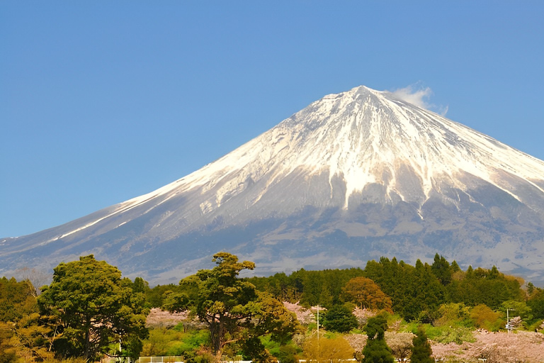 Excursion privée d'une journée au départ de Tokyo vers le Mont Fuji et HakoneConducteur uniquement