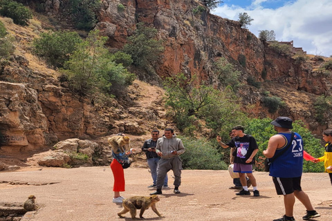 Marrakech: excursão guiada às cachoeiras de Ouzoud com passeio de barcoTour Guiado com Passeio de Barco