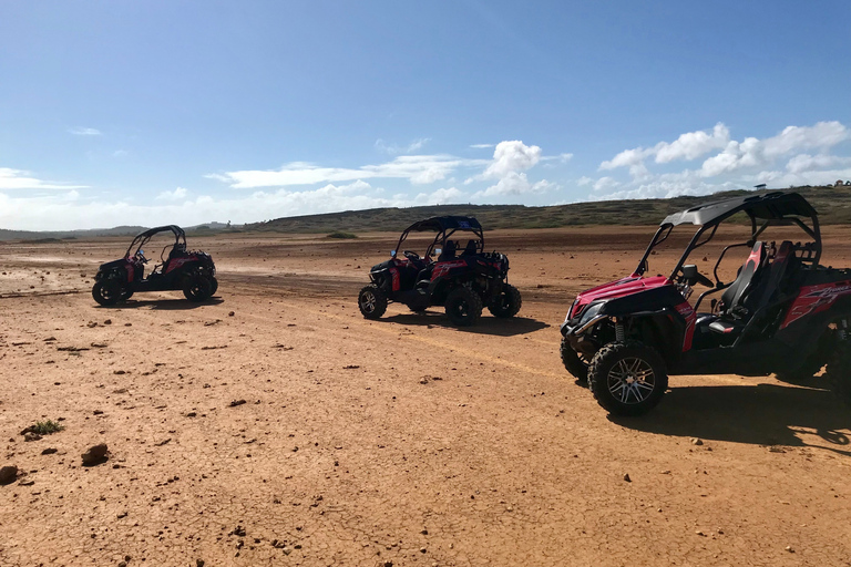 Marrakech Buggy Tour at the palmgroves