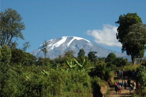 Arusha : Visite culturelle à pied du Kilimandjaro