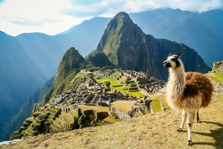 Z Cusco: całodniowa wycieczka do Machu Picchuz cusco: całodniowa wycieczka do Machu Picchu