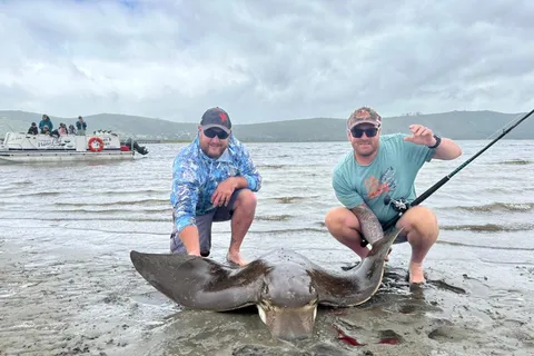 aluguel de pesca na lagoa knysna