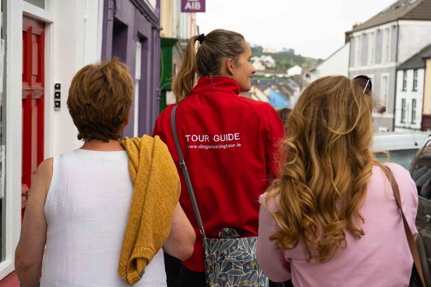 Tour Dégustation à Dingle