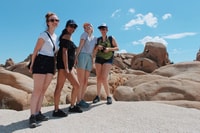 De Las Vegas, randonnée et camping à 4 jours à Joshua Tree - Housity