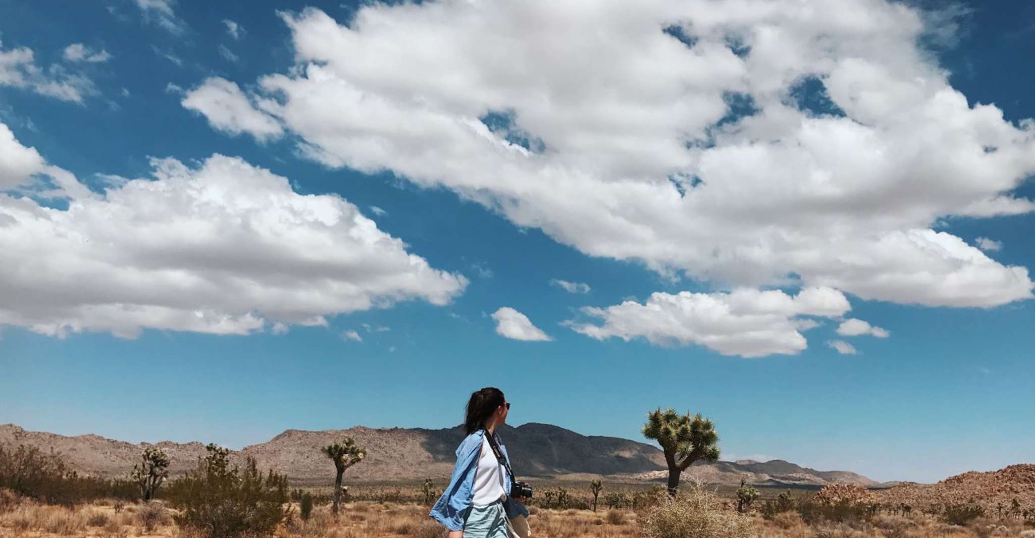 From Las Vegas, 4-Day Hiking and Camping in Joshua Tree - Housity