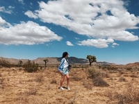 De Las Vegas, randonnée et camping à 4 jours à Joshua Tree - Housity