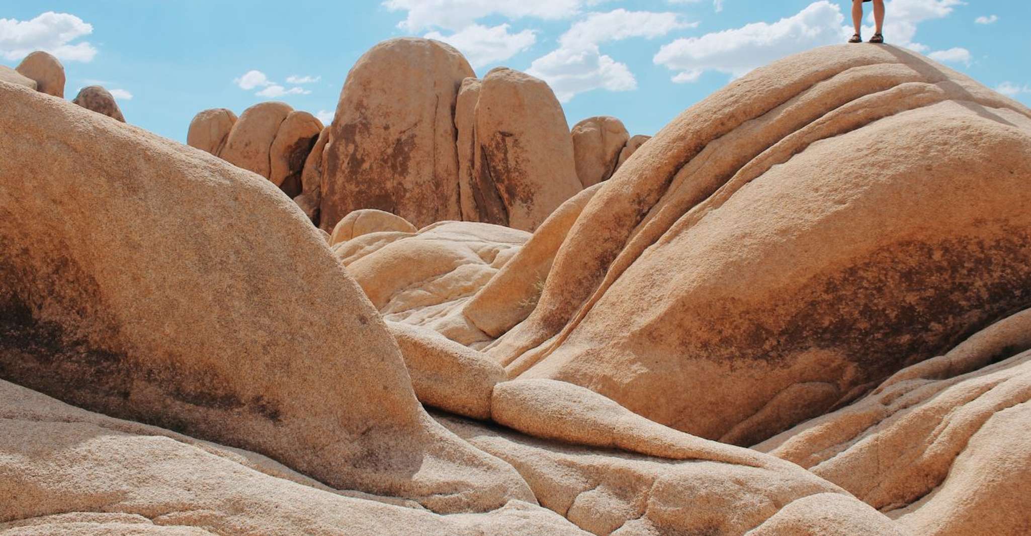 From Las Vegas, 4-Day Hiking and Camping in Joshua Tree - Housity