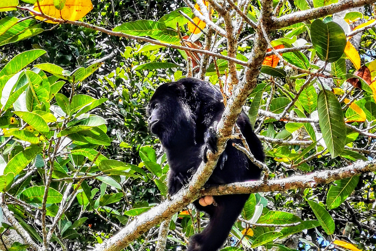 Tour archeologico di Dzibanche e Kohunlich Maya e pasto di 3 portateTour archeologico di Dzibanche e Kohunlich Maya e pasto a 3 portate