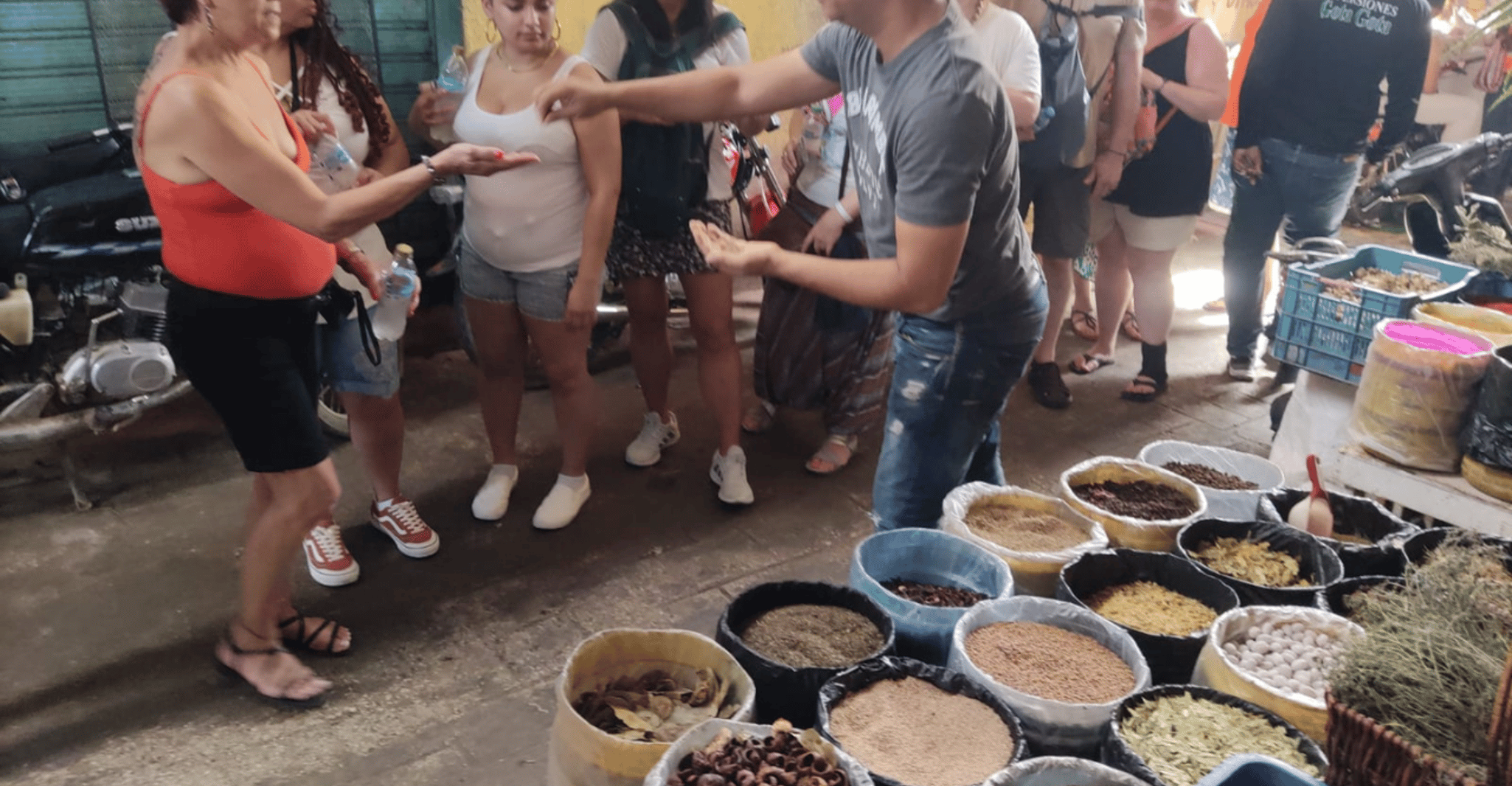 From Punta Cana, History and Culture Tour with River Swim - Housity