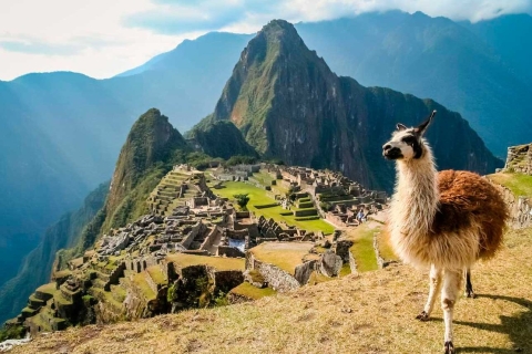 Wycieczka Machu Picchu + Montaña Machu Picchu 1 dzień