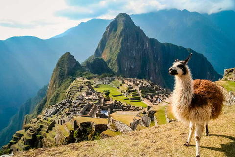 Machu Picchu + Machu Picchu Mountain Tour 1 dag