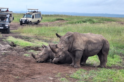 Nairobi Park Game Drive z przewodnikiem z bezpłatnym odbiorem z hotelu