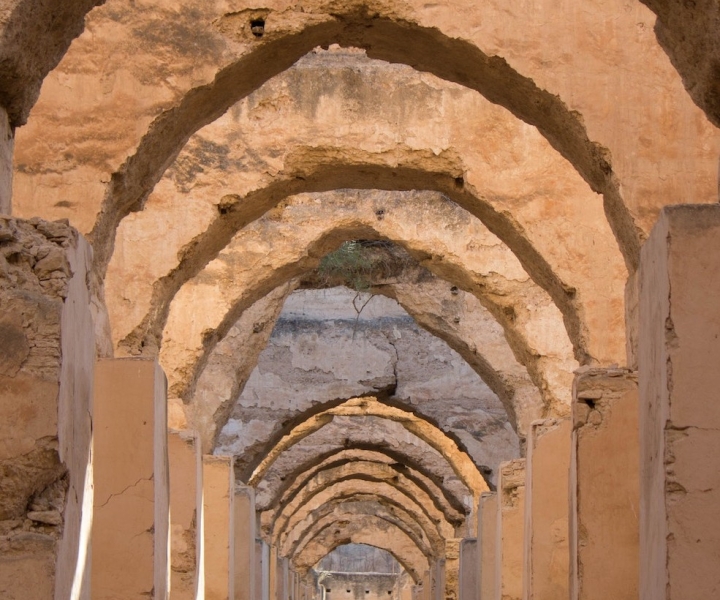 Desde Fez: Excursión de un día a Volubilis, Moulay Idriss y Meknes