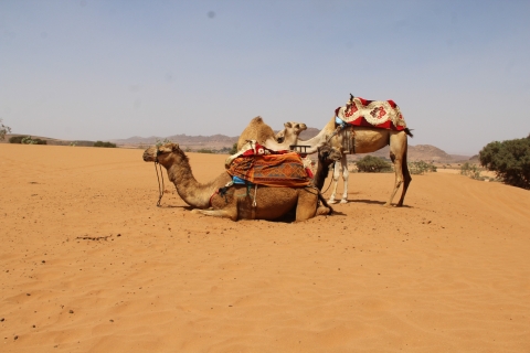 Au départ d'Agadir : Excursion dans le désert du Sahara en Jeep 4×4 avec déjeuner