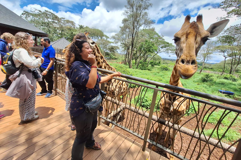 Orphelinat des éléphants, centre des girafes et visite du musée Karen Blixen