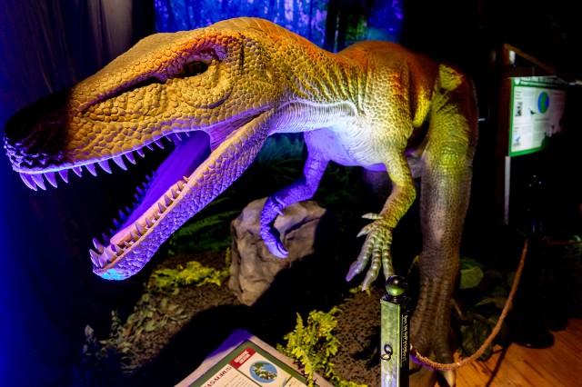 Visit Atlanta "Dino Safari A Walk Thru Adventure" in Atlanta, Georgia