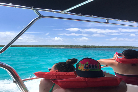 Visite de l'île de Saona en bateau à moteur et en catamaran (formule tout compris)