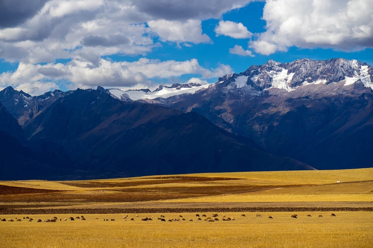 Desde Cuzco: Maras, Moray y Mina de Sal Tour Privado