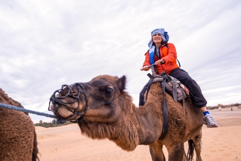 Depuis Agadir ou Taghazout : Promenade à dos de chameau avec thé et flamants rosesDepuis Agadir