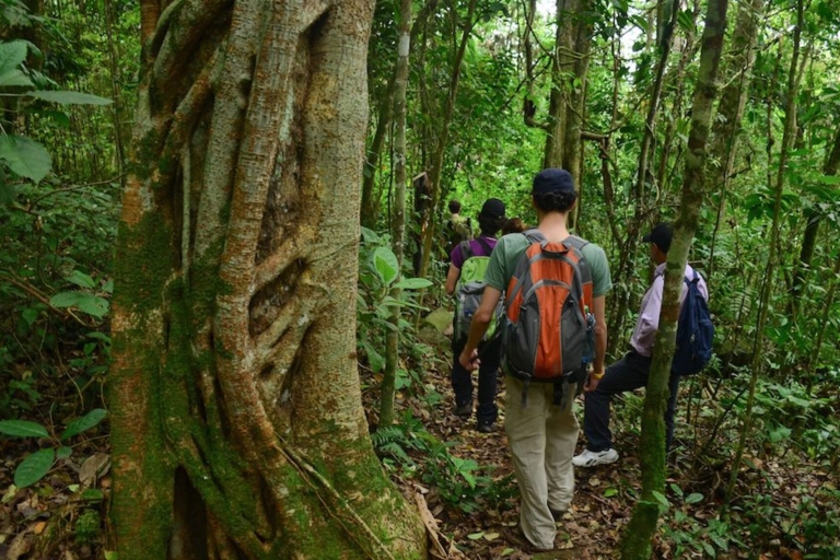 Birdwatching Day Tour at Chicaque Natural Park
