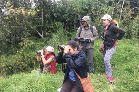 Journée d'observation des oiseaux dans le parc naturel de Chicaque
