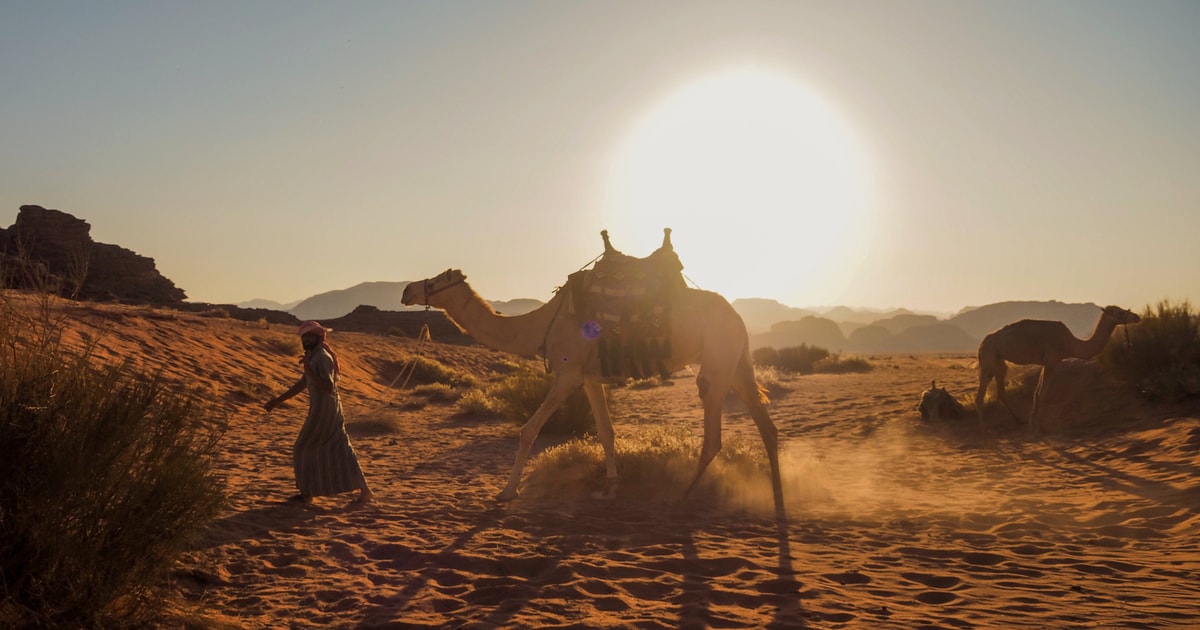 Wadi Rum: 2 Hour Camel Ride at Sunset/Sunrise with Overnight | GetYourGuide