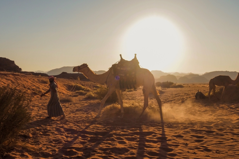 Wadi Rum: kameelrit van 2 uur bij zonsondergang/zonsopgang met overnachting