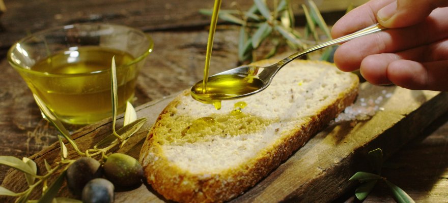 Tour e degustazioni d'olio d'oliva