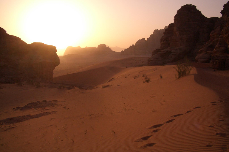 Wadi Rum : 2 heures de promenade à dos de chameau au coucher ou au lever du soleil avec nuitée