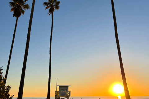 Venice Beach : French guided walking tour Discover Venice Beach, Bohemian walk along the ocean