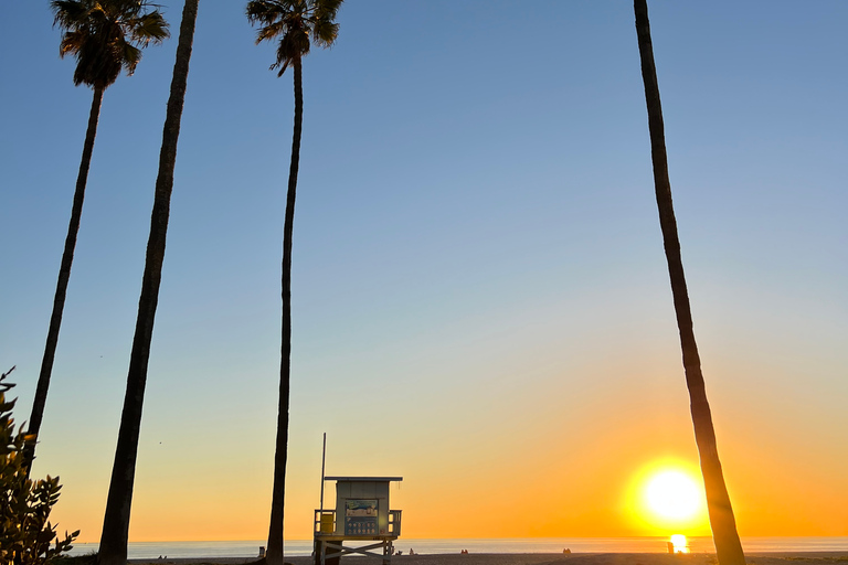 Venice Beach : French guided walking tour Discover Venice Beach, Bohemian walk along the ocean