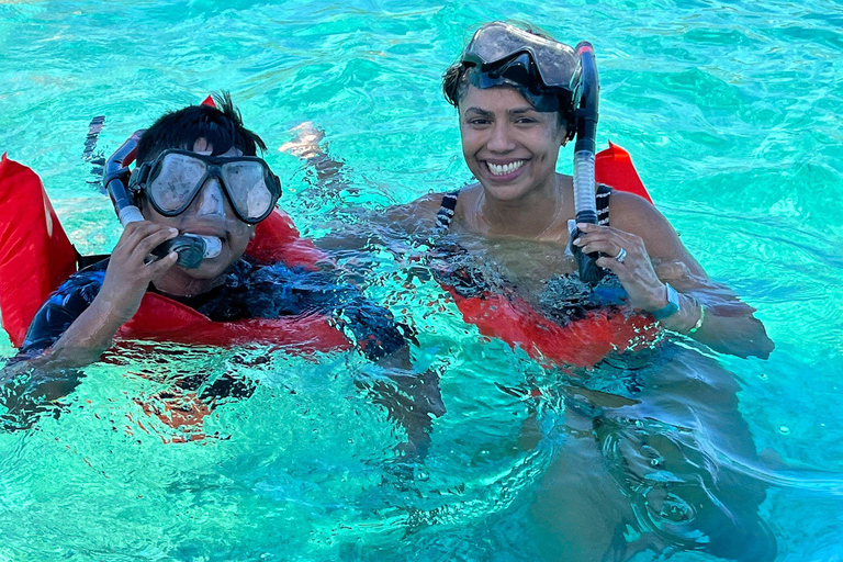 007-Mañana Todo Incluido Nadar con Cerdos en la Isla Rosa007 Todo Incluido-Nadar con cerdos en la Isla Rosa