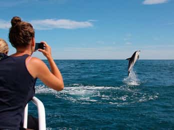 Pula: National Park Brijuni Island Visit & Dolphin Cruise