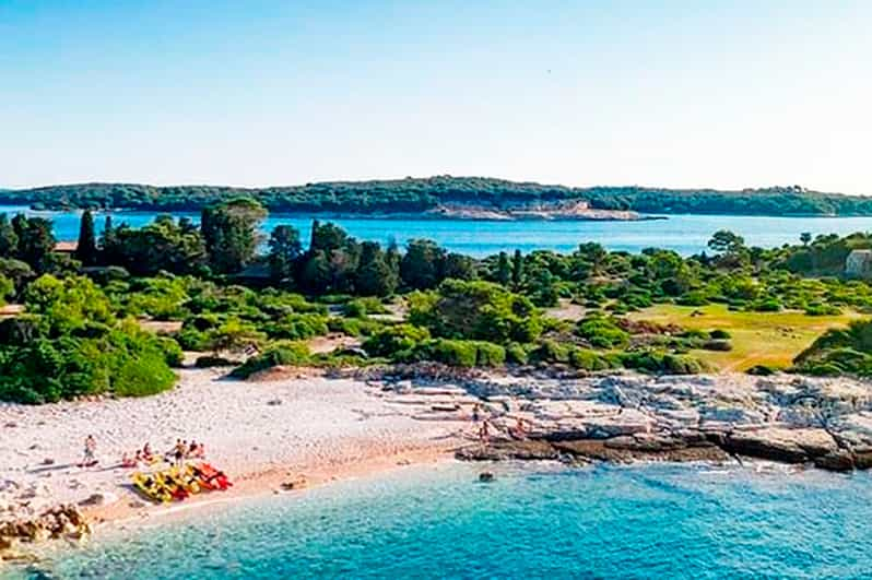 Pula: Island Visit National Park Brijuni & Dolphin Cruise | GetYourGuide